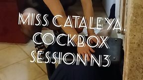 Miss catalaye Cockbox session 03