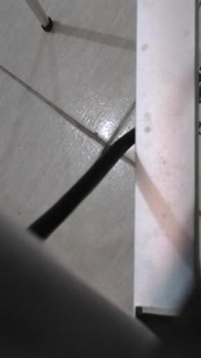 black camgirl sensualizing and masturbating online