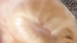 Pregnant Czech Momma Head