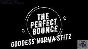 NORMA STITZ THE PERFECT BOUNCE  WMV FORMAT