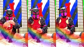 gay doggy styled
