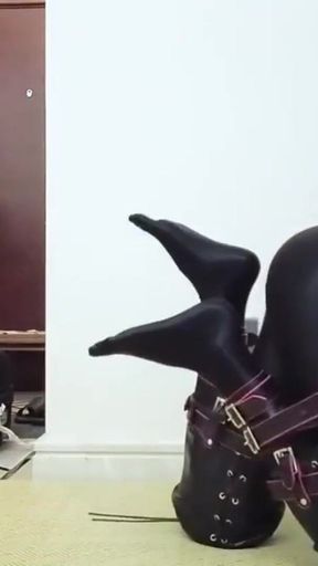 Mz08 - the Puppy Bound in Latex Suit Reaches Climax