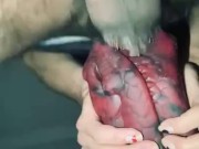 Facefuck Duke’s Muzzle
