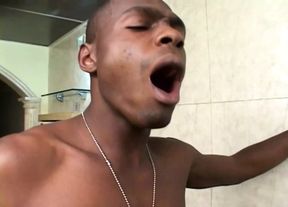 Black Guy Loves Shemales!