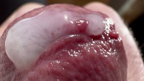 My crocodile's mouth is fed