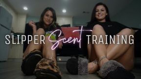 Slipper Scent Training Ft. Natalie Fox