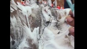 Ebony Slut Gets Pounded by BBC