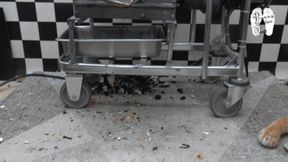 The Lion slumber for ever 2