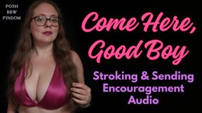 Come Here Good Boy - Stroking and Sending Encouragement Audio from your Posh English BBW FinDom Goddess