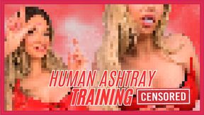 480WMV Human Ashtray Training (Beta Safe Censored Loser Porn)