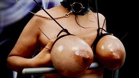 4k Huge Hucow Udders Tied and Whipped with a stick