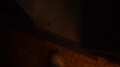 I fuck the ass of a pickpocket who took my phone on the subway