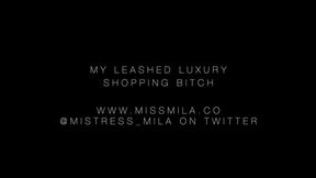 Leashed Luxury Shopping Bitch