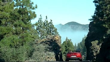 Candie and Alex around the world #5.2 Tenerife