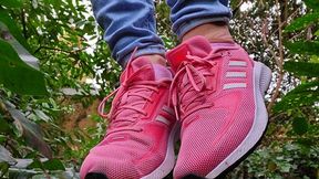 Sniff, Worship, Lick Adidas Sneakers (mkv)