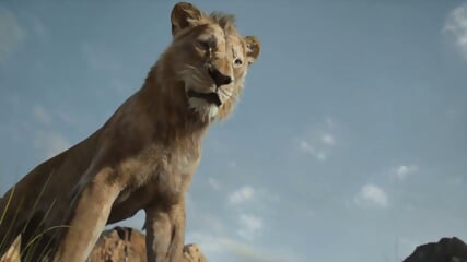 MUFASA