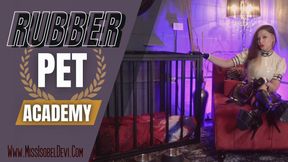 Rubber Pet Academi