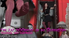 THE FAT DOORMAT OF MY QUEENDOM - TRAMPLING WITH PANTYHOSES mobile