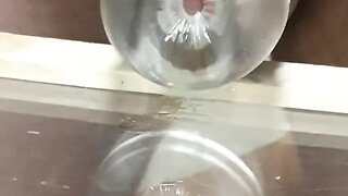 Pleasuring myself with a quick release until i orgasm