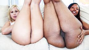 ”Black & White Asses Screwed Hard”