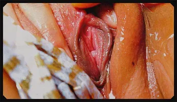 Wearing mini bikini got Aya Sakuraba hot and horny