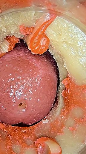 Cumming on Your Cock with Camera Inside Pussy - ASMR 4k   Clip 1