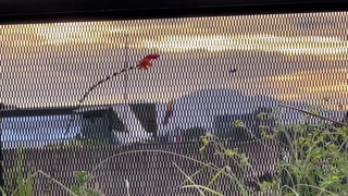 I cheated on my girlfriend with a 18 year old Emo goth Latina with tattoos and came inside her