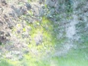 Piss mess - 3 times pissing with uncut cock public - cock and balls out of jeans