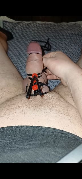 Penetrating the tail with silicone bands