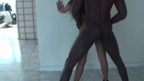 Big Black Cock for a Tight Asian Pussy