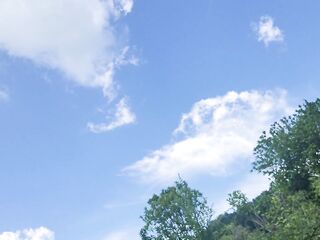 Pissing at the Lookout