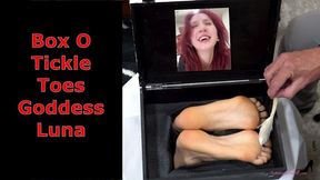Box O Silly Toes Goddess Luna - POV Foot Tickling With Male Tickling Female Feet MOBILE