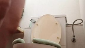 Hot Japanese babes in public and home toilet scenes