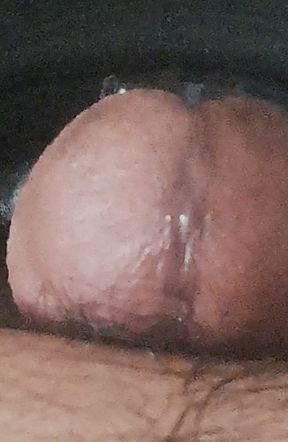 Penis