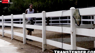 Tranny Bosss Blowjob Client Gets FaceDrenched in Cum