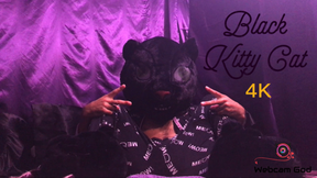 Black Kitty Cat (4K)