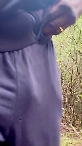 Once Upon My Morning Wood… in the Woods.