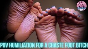 Chaste Foot Bitch Humiliation POV - Goddess Lilith & Miss Bat