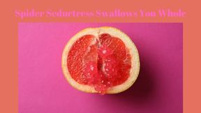 Spider Seductress Swallows You Whole - Extreme Erotic Vore Mesmerize