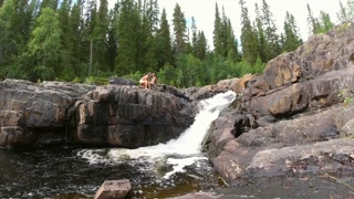 Summertime fun at the Waterfall - RosenlundX - 4k 60fps