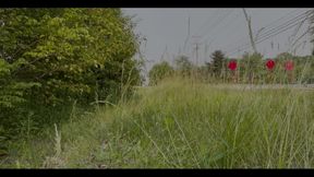 Having Fun in a Field