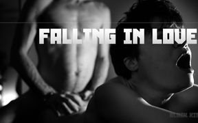The Night We Fell in Love
