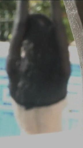 Jenya D
