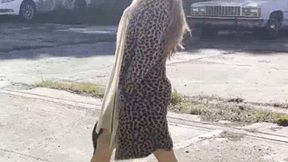 Lucy's Struggles!! Pt 1 (Custom)