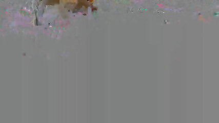lisasparrow homemade fucking