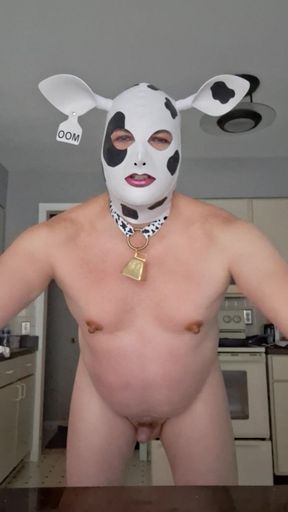 Hucow Saturday Intro!