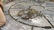 I get on my knees, and piss all over the patio!