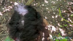 pov kitty kewpie and bmack in da woods