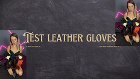 test leather gloves collection