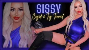 Closet Sissy, gets Caged & Tag Teamed With My Trans BFF (1080 WMV)